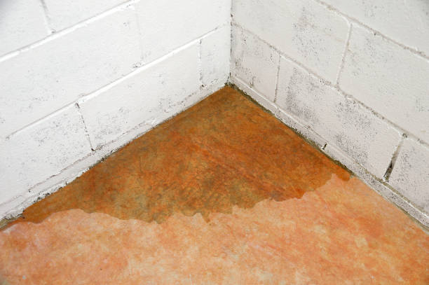basement leakage